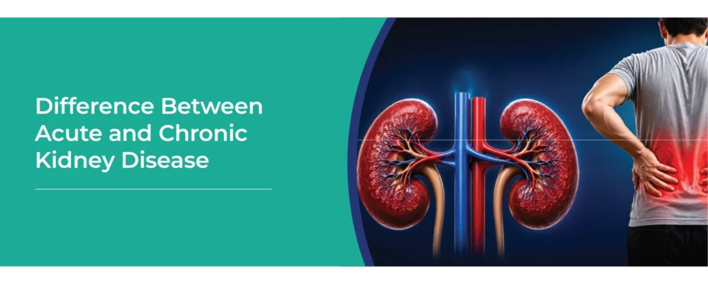 Acute vs Chronic Kidney Disease Explained