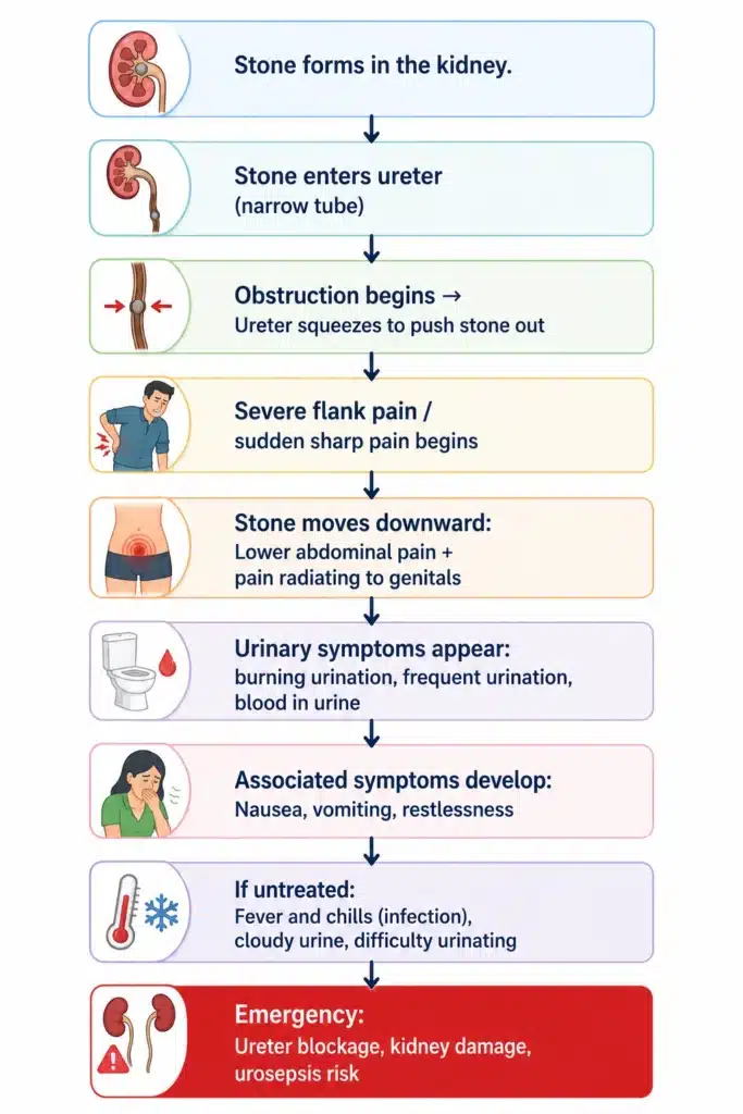 Early signs of ureteral stones