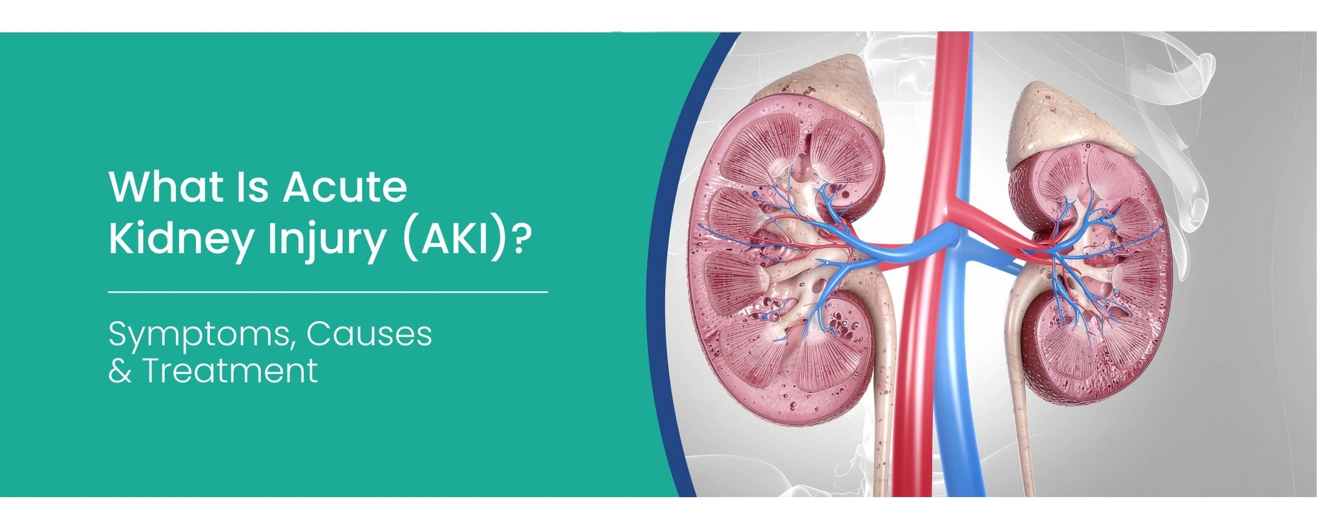 Acute Kidney Injury