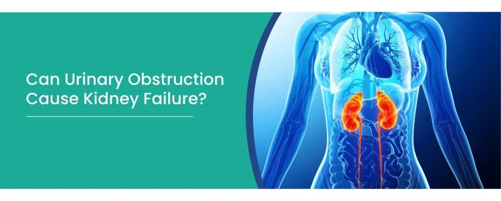 urinary obstruction