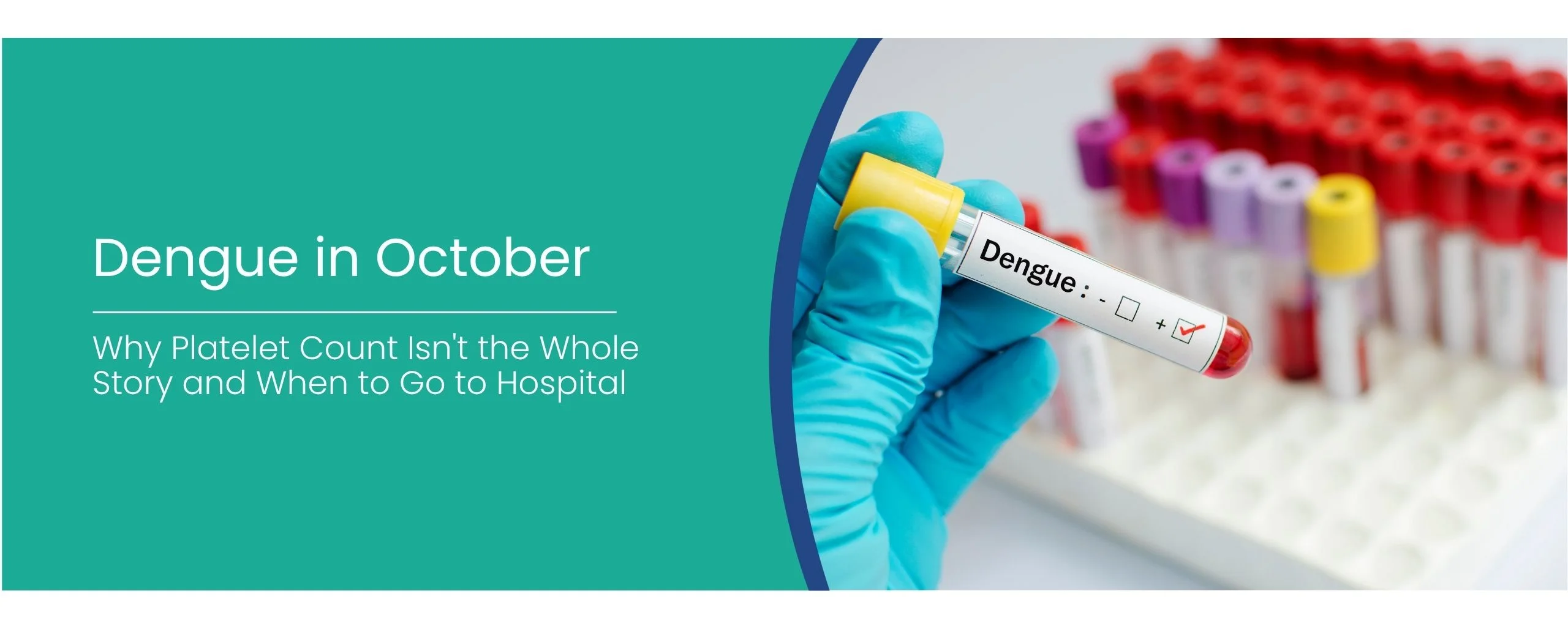 Dengue in October